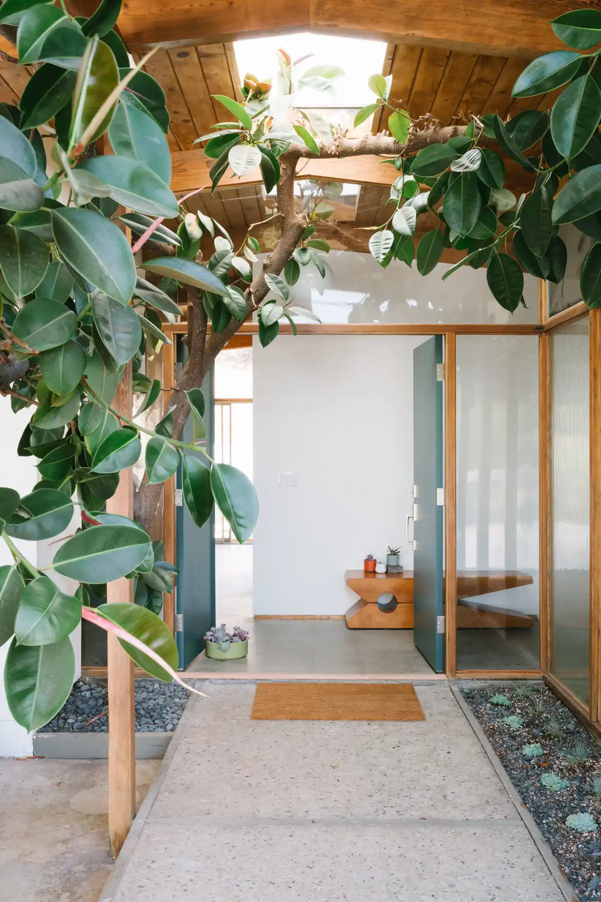Entry courtyard with mature rubber tree, Bill Mack home, Bel Air